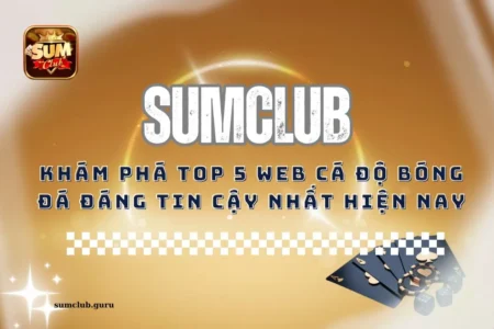 Khám phá top 5 web cá độ bóng đá đáng tin cậy nhất hiện nay
